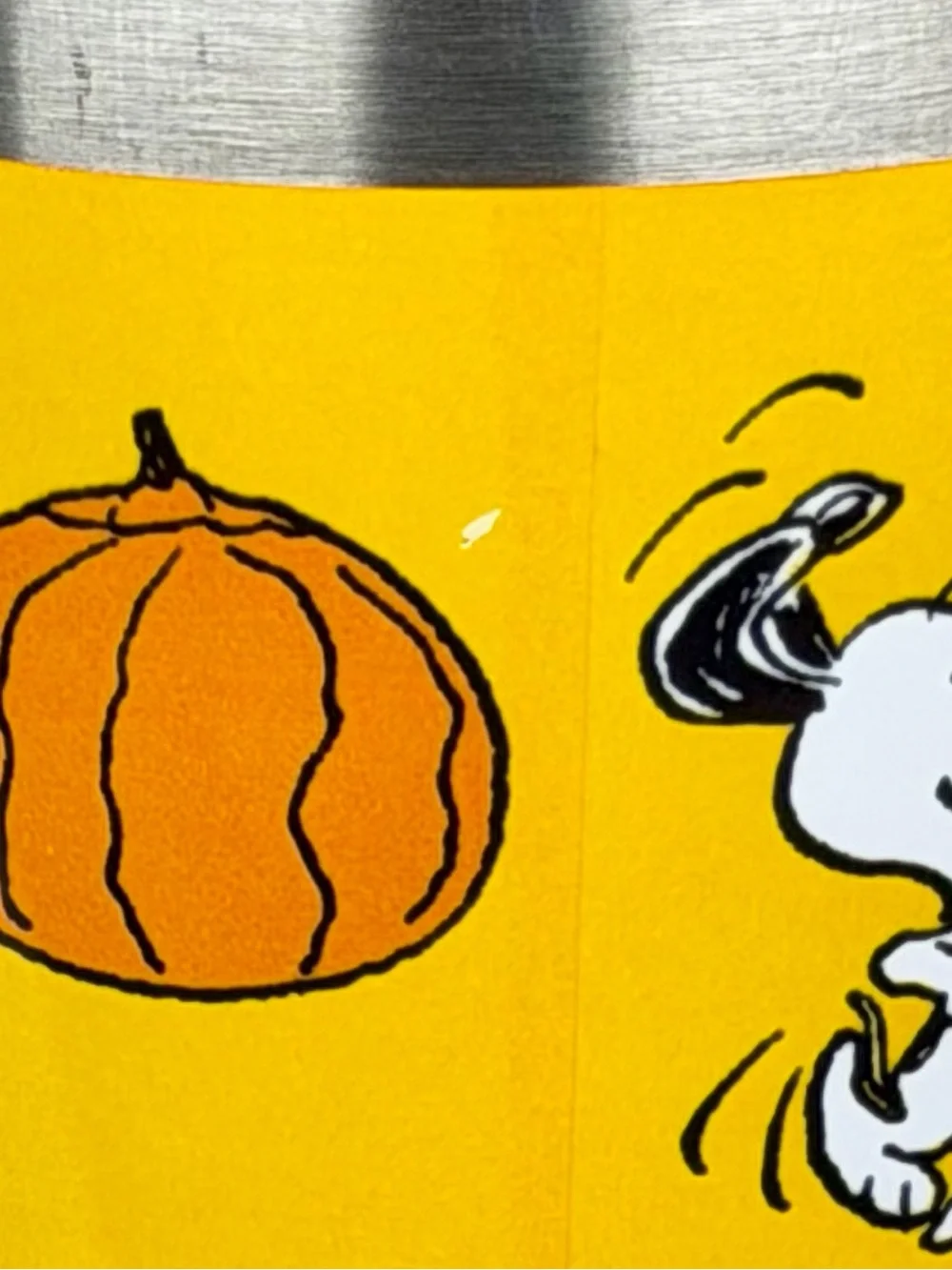 Peanuts Snoopy Pumpkin Everything Fall 20oz Metal Coffee Tumbler Coffee Travel